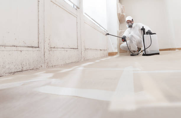 24/7 Emergency Attic Mold Removal experts in Boston, GA